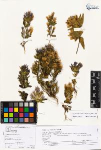 SW_BNB_s3070-05117_IMG-0000000001