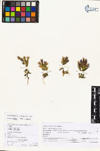 SW_BNB_s3070-05118_IMG-0000000001