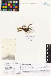 SW_BNB_s3070-05119_IMG-0000000001