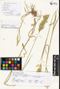 SW_BNB_s3070-05120_IMG-0000000001