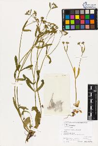 SW_BNB_s3070-05126_IMG-0000000001