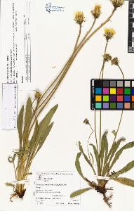 SW_BNB_s3070-05132_IMG-0000000001
