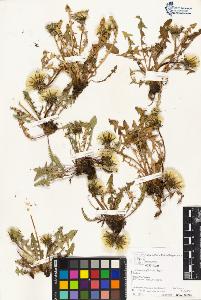 SW_BNB_s3070-05133_IMG-0000000001