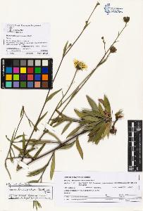 SW_BNB_s3070-05134_IMG-0000000001