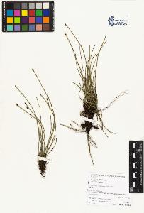 SW_BNB_s3070-05135_IMG-0000000001