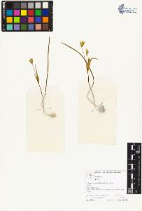 SW_BNB_s3070-05136_IMG-0000000001