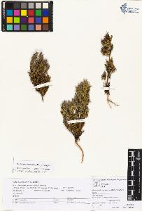 SW_BNB_s3070-05138_IMG-0000000001