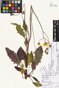 SW_BNB_s3070-05139_IMG-0000000001