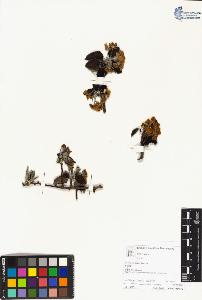 SW_BNB_s3070-05140_IMG-0000000001