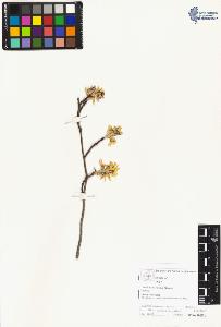 SW_BNB_s3070-05141_IMG-0000000001