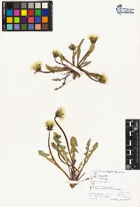 SW_BNB_s3070-05142_IMG-0000000001