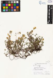 SW_BNB_s3070-05145_IMG-0000000001