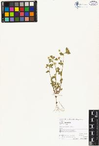 SW_BNB_s3070-05147_IMG-0000000001