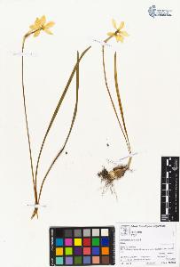 SW_BNB_s3070-05150_IMG-0000000001