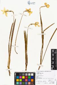 SW_BNB_s3070-05151_IMG-0000000001