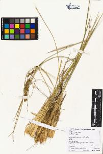 SW_BNB_s3070-05152_IMG-0000000001