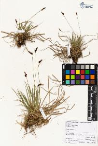 SW_BNB_s3070-05153_IMG-0000000001