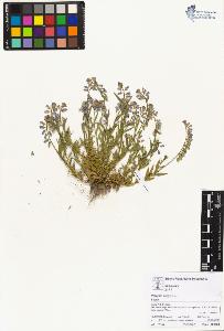 SW_BNB_s3070-05155_IMG-0000000001