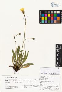 SW_BNB_s3070-05157_IMG-0000000001