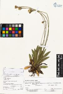 SW_BNB_s3070-05158_IMG-0000000001