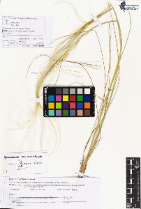 SW_BNB_s3070-05159_IMG-0000000001