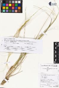 SW_BNB_s3070-05163_IMG-0000000001