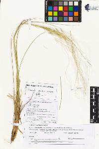 SW_BNB_s3070-05164_IMG-0000000001