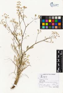 SW_BNB_s3070-05166_IMG-0000000001