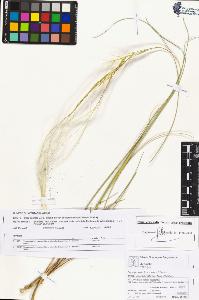 SW_BNB_s3070-05167_IMG-0000000001