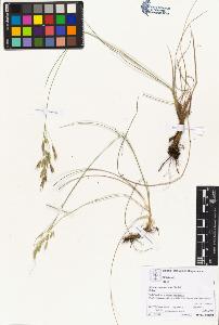 SW_BNB_s3070-05168_IMG-0000000001