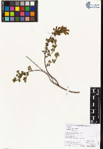 SW_BNB_s3070-05169_IMG-0000000001