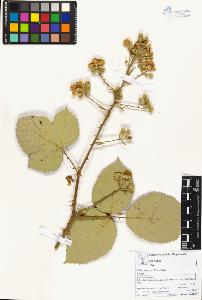 SW_BNB_s3070-05171_IMG-0000000001