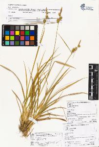 SW_BNB_s3070-05173_IMG-0000000001