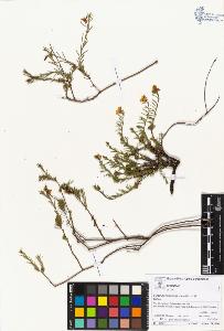 SW_BNB_s3070-05174_IMG-0000000001