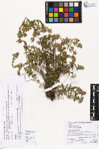 SW_BNB_s3070-05176_IMG-0000000001