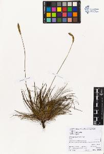 SW_BNB_s3070-05177_IMG-0000000001