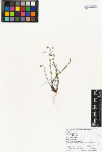 SW_BNB_s3070-05178_IMG-0000000001