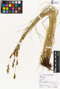 SW_BNB_s3070-05179_IMG-0000000001