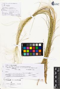 SW_BNB_s3070-05181_IMG-0000000001