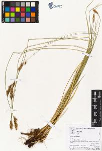 SW_BNB_s3070-05182_IMG-0000000001