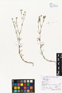 SW_BNB_s3070-05183_IMG-0000000001