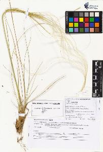 SW_BNB_s3070-05185_IMG-0000000001