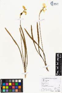 SW_BNB_s3070-05190_IMG-0000000001
