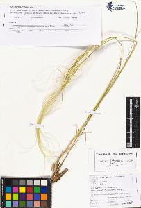 SW_BNB_s3070-05192_IMG-0000000001
