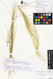 SW_BNB_s3070-05193_IMG-0000000001