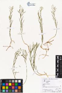 SW_BNB_s3070-05194_IMG-0000000001