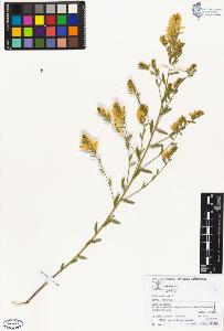SW_BNB_s3070-05196_IMG-0000000001