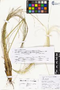 SW_BNB_s3070-05197_IMG-0000000001