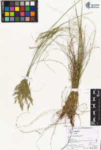 SW_BNB_s3070-05199_IMG-0000000001