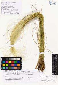 SW_BNB_s3070-05200_IMG-0000000001
